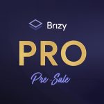 Brizy ProReview