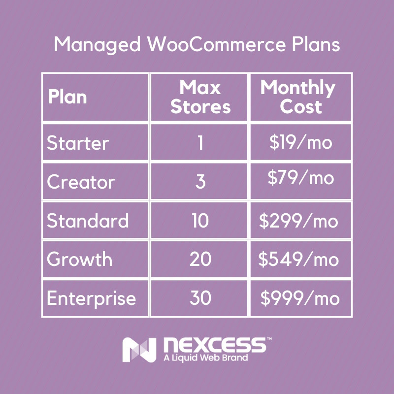 Nwxcess Woocommerce pricing plans review Page Concept