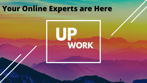 Honest Upwork Review | Page Concept