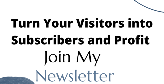 Turn Your Visitors into Subscribers and Profit | Page Concept